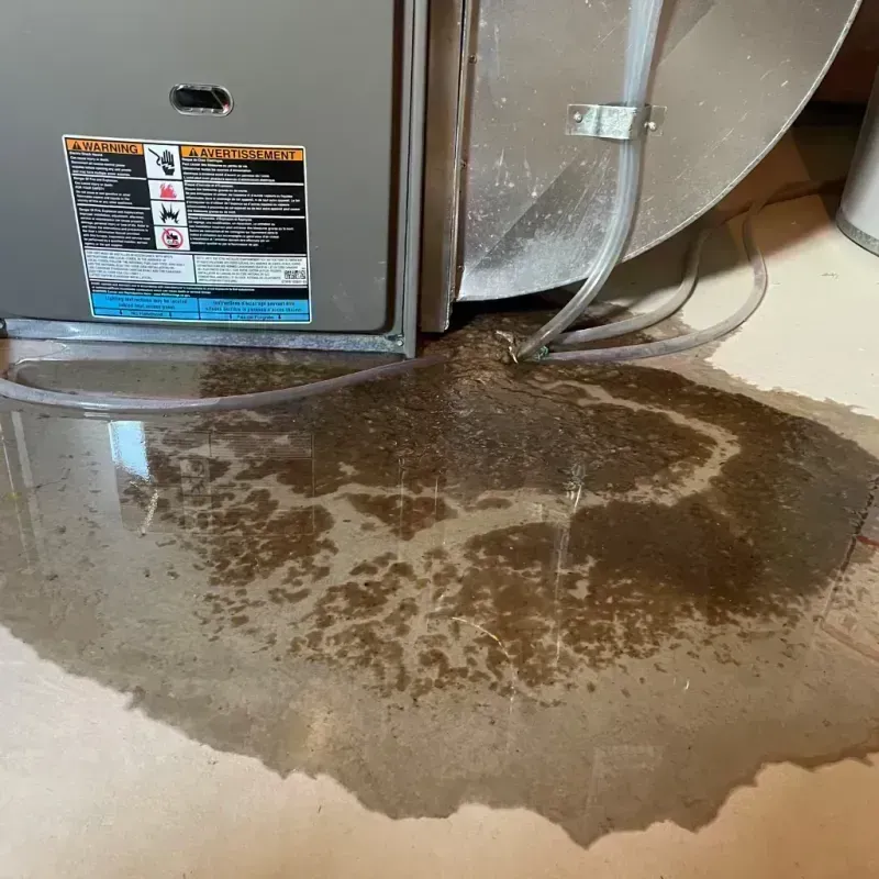 Appliance Leak Cleanup in Sibley County, MN